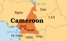 Furtuna loviturilor de stat lovește Africa: Rwanda și Camerunul concediază sute de ofițeri de rang înalt, de teama unor revolte