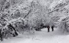 Ger polar în România. A fost cea mai rece noapte. S-au registrat -22 de grade