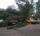 IGSU: Copaci şi acoperişuri smulse de vânt, dar şi inundaţii în şapte judeţe şi în Bucureşti 