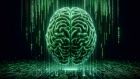 Iluzia conștiinței artificiale. De ce AI-ul nu este cu adevărat conștient
