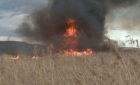 Incendiu de vegetatie pe A2: Traficul a fost deviat