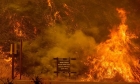 Los Angeles a înregistrat cea mai mare temperatură din istorie
