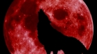 LUNA SÂNGERIE 2018. Eveniment astronomic rar. Ce este, de fapt, Super Luna Albastră - Sângerie