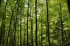 Moarte suspectă într-un caz de spălare de bani de 200 de miliarde de dolari