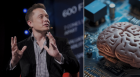 NEURALINK, compania lui Elon Musk, a dat lovitura! Primul pacient cu cip cerebral joacă șah online
