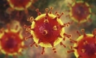 Nou record de infectări în "țara vaccinaților" anti-Covid: Germania raporteaza 50.196 de cazuri si 235 de decese la o acoperire vaccinala de 70%