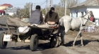 O fetiță de doi ani din Satu Mare este dată dispărută de sambata la prânz
