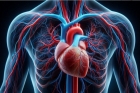 O nouă speranță pentru inimile bolnave: descoperirea medicală care ar putea schimba vieți
