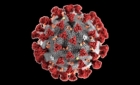 Omicron "vaccineaza" natural: Varianta sud-africana protejeaza față de Delta si de alte variante periculoase!