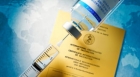 OMS ia in calcul varianta introducerii "pasapoartelor de vaccinare" pentru calatoriile internationale