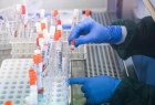 OMS va analiza informațiile privind reapariția coronavirusului la pacienți declarați vindecați