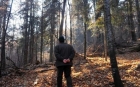 Pădurar măcelărit cu securea cu care un hoţ doborâse ilegal un paltin. Bluful copilului-ucigaş din timpul anchetei