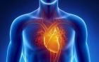 Parametri care trebuie urmariti pana la 40 de ani, pentru a reduce riscul de boli cardiace
