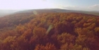 Paranormal: Fenomen inexplicabil în Pădurea Baciu, filmat de o dronă
