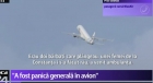 Pasager din avionul Blue Air: "Nu a fost uşor să cazi în picaj aşa dintr-o dată. Doi bărbaţi plângeau. Unei femei de la Constanţa i s-a făcut rău"