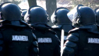 Percheziții la mafia peștelui din România, Italia, Spania, Franţa şi Ungaria. S-a descins la peste 150 de locuințe