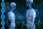 Perspectiva apariției unor ființe "sintetice" cu cod genetic inversat bagă omenirea în sperieți: "Va fi o catastrofă. Ne mai jucăm mult?"