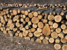 Prețul lemnului de foc „arde" populația la buzunare