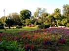 Primăria Capitalei vrea să reabiliteze Parcul Cișmigiu, valoarea lucrărilor fiind estimată la circa 10 milioane de euro