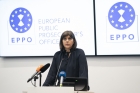 Procurorii conduși de Kovesi, sute de percheziții în România într-un dosar mamut de fraudă cu subvenții pentru apicultură
