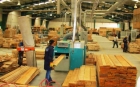 Producătorii de mobilă acuză: "Programul de participare la târguri internaţionale este blocat; s-a ratat promovarea pe pieţe importante"