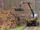 Proiect: Reducerea TVA de la 19% la 5% pentru lemnul de foc livrat către persoanele fizice