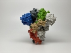 Proteinele Spike din vaccinurile ARNm ajută celulele canceroase să supraviețuiască și să reziste chimioterapiei!
