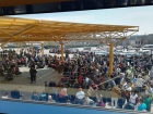 Radiografia unei Diaspore lăsate în voia sorții