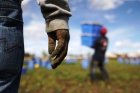 România, cel mai mare risc de sclavie modernă din Uniunea Europeană

