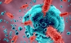 România e amenințată de epidemiile trecutului - Medicii sunt avertizați "să recitească difteria"