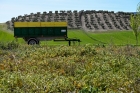 S-a descoperit o problemă gravă pentru întreaga omenire: Cea mai importantă resursă a plantei este contaminată cu metale grele