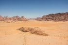Sahara a găzduit până acum 5.000 de ani o populație complet necunoscută / Cercetătorii au descoperit cele mai vechi mumii umane
