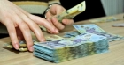 Salarii majorate pentru artişti şi administraţia publică locală dar si venituri mai mari pentru pensionari