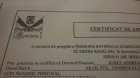 Scandal  despre ingrijitoare in Austria: Diplome false și "mafia românească"