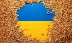 Scrisoare de mare impact în Parlamentul European: cerealele ucrainene nu vor mai rămâne în România
