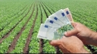 Sprijin financiar pentru fermieri de aproximativ 1,8 miliarde euro