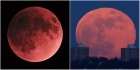 Superluna sange de lup, fenomenul care prevesteste sfarsitul lumii! Cand va aparea pe cer si de ce anunta Apocalipsa!