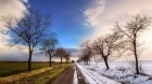 Surprize uriase de la meteo. Cum va fi vremea de Revelion. Prognoza pe doua saptamani