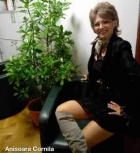 Tensiunea şi birocraţie incredibilă la Ministerul Transporturilor