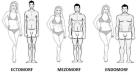 Totul despre metabolism: cum functioneaza si cum il poti optimiza?

