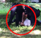 Un bărbat din Vatra Dornei a ajuns în comă la spital, după ce jandarmii l-au ținut minute bune la pământ și i-au pulverizat spray lacrimogen direct în față