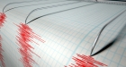Un cutremur cu magnitudinea de 3,8 pe scara Richter s-a produs în judeţul Buzău