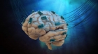 Un implant cerebral prmite unui barbat paralizat sa isi miste mâinile prin intermediul gandurilor