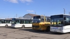 Un oraș întreg din România, paralizat de o greva spontană în transportul comun