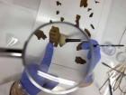 Unul din ultimele Manuscrise de la Marea Moartă a fost descifrat