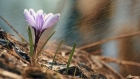 Vremea, schimbare radicală: o masă de aer siberian intră în România