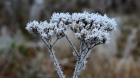 Vremea se schimbă iar. Prognoza meteo pentru joi, vineri și sâmbătă