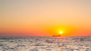 În Marea Neagră a apărut un nou prădător feroce: Se aclimatizează ciudat de repede și va provoca probleme foarte mari
