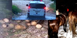 16 focuri de arma intr-o localitate din judetul Neamt. Lupte ca in filme intre hotii de lemne si politisti