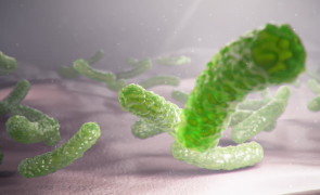 A fost descoperită cea mai mare bacterie din lume. Răstoarnă toate codurile microbiologiei